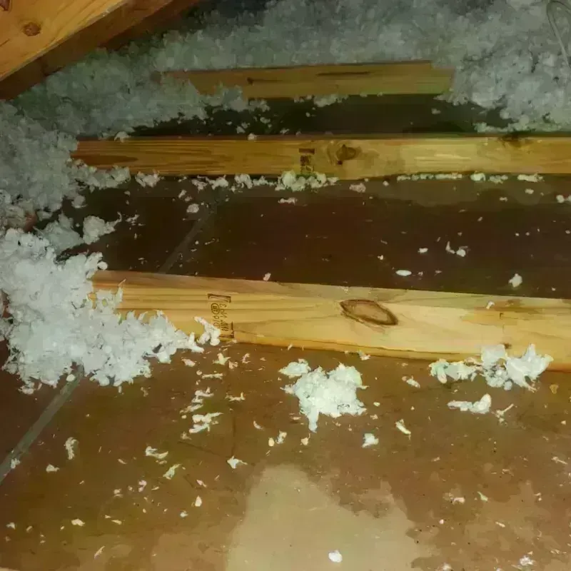 Attic Water Damage in Kay County, OK