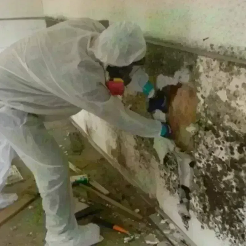 Mold Remediation and Removal in Kay County, OK