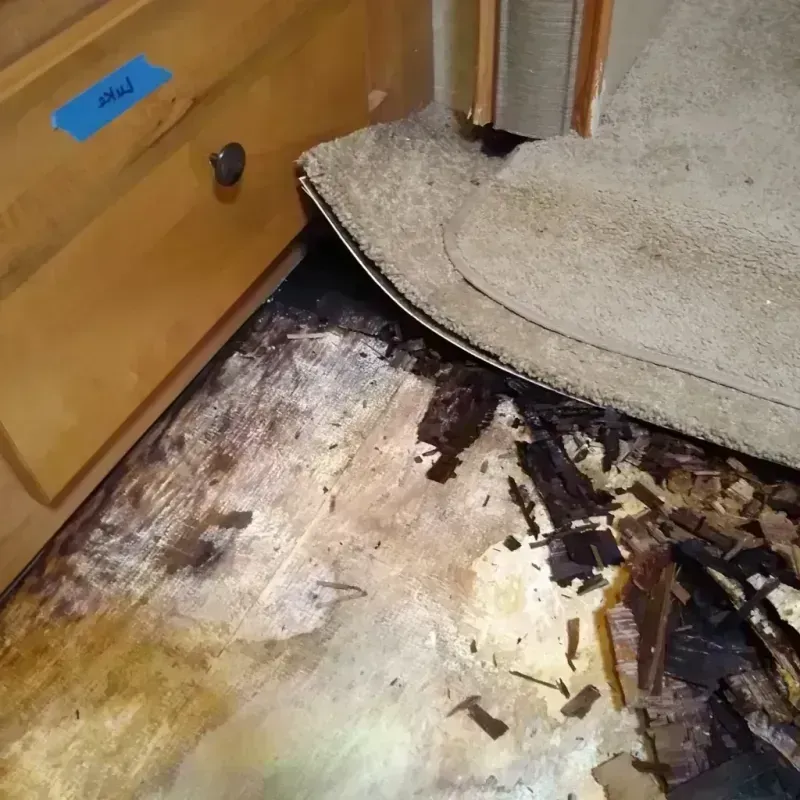 Wood Floor Water Damage in Kay County, OK